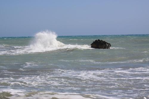IMG 3077 resize