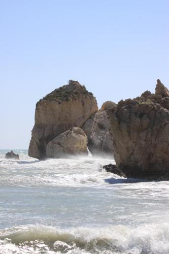 IMG 3079 resize