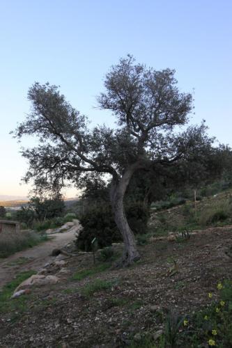 IMG 3107 resize