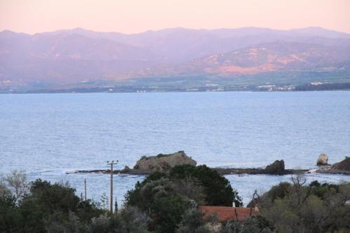 IMG 3162 resize
