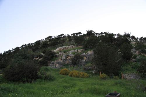 IMG 3163 resize