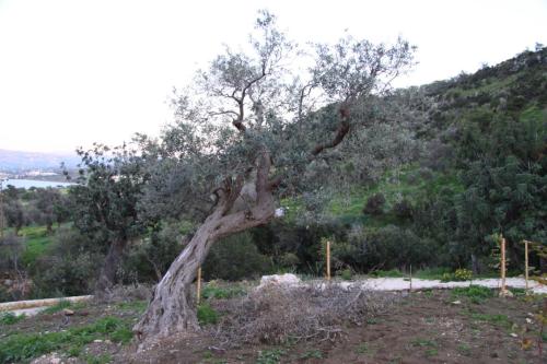 IMG 3166 resize