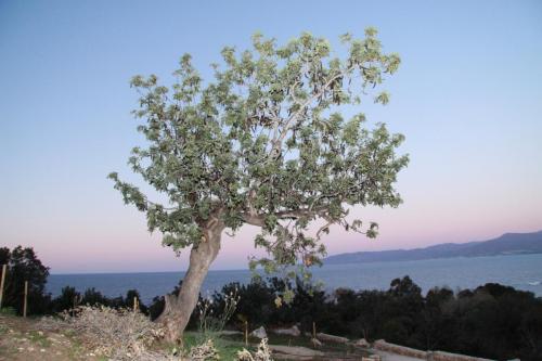 IMG 3172 resize