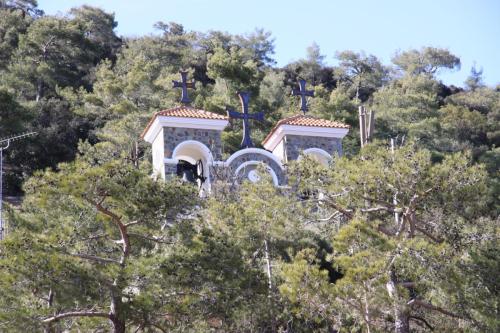 IMG 3257 resize