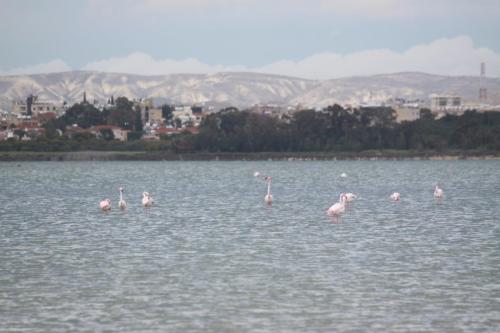 IMG 2957 resize