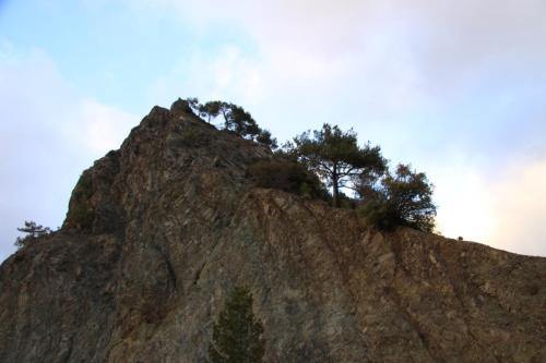 IMG 1565 resize