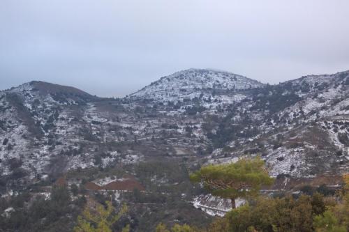 IMG 1587 resize