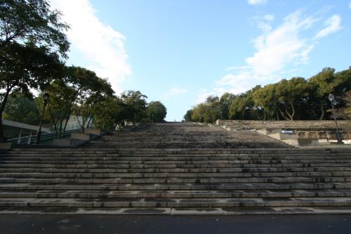 IMG 1513 resize