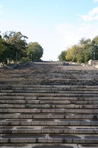 IMG 1516 resize