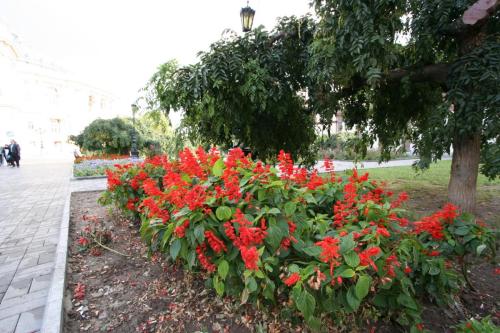 IMG 1559 resize