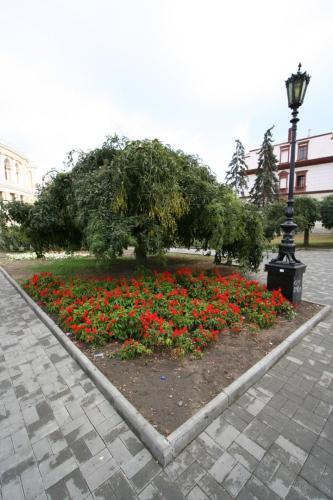 IMG 1568 resize