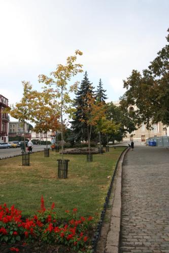 IMG 1572 resize