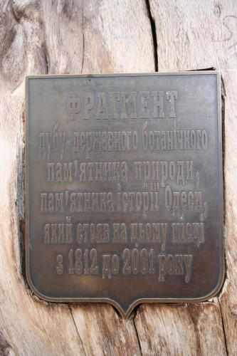IMG 1574 resize