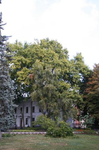 IMG 1580 resize