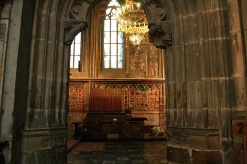 IMG 8242 resize
