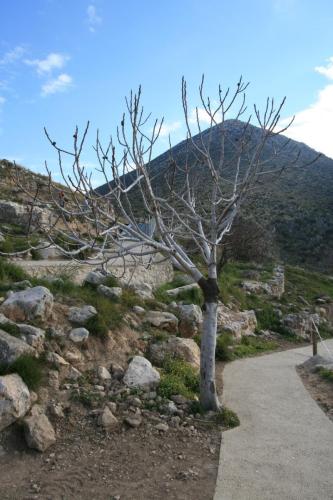 IMG 2801 resize