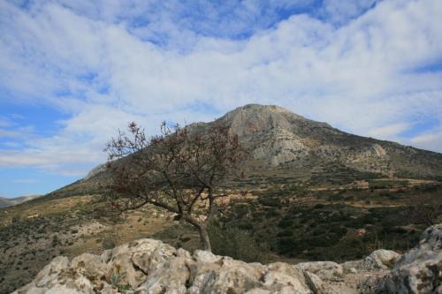 IMG 2839 resize