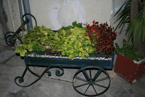 IMG 2694 resize