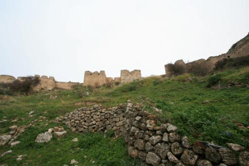 IMG 1801 resize