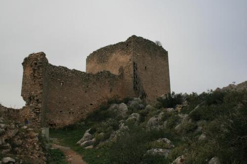 IMG 1949 resize