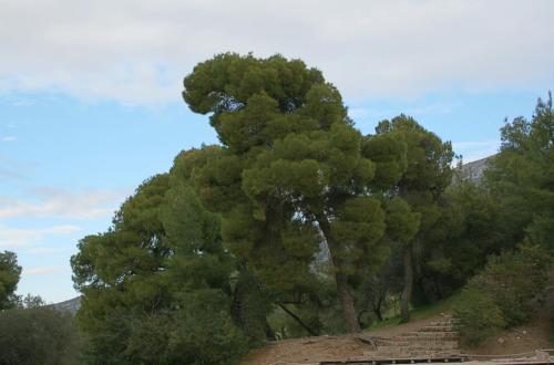 IMG 1560 1 2 resize