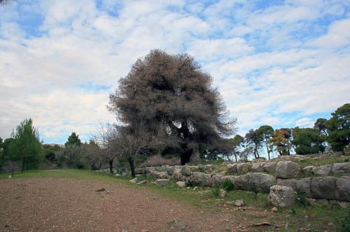 IMG 1609 10 11 1 resize