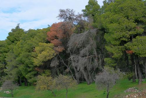 IMG 1615 6 7 1 resize