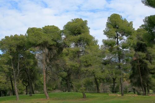 IMG 1627 8 9 1 resize