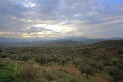 IMG 1660 1 2 1 resize
