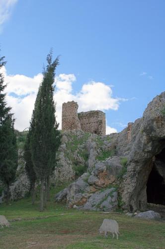 IMG 1060 1 2 1 resize