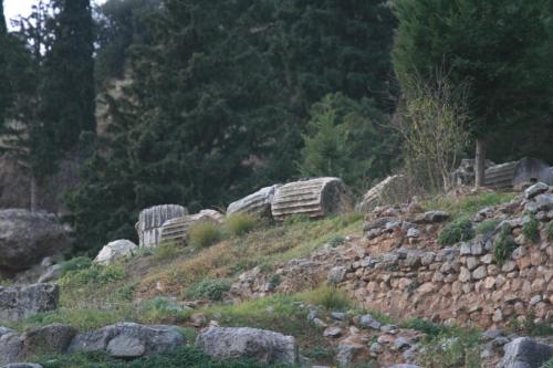 IMG 1136 resize