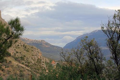 IMG 1163 4 5 1 resize