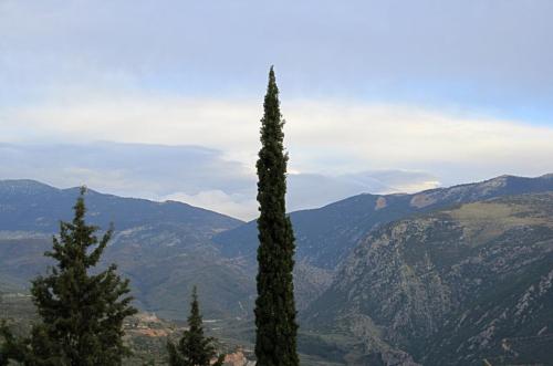 IMG 1226 7 8 1 resize