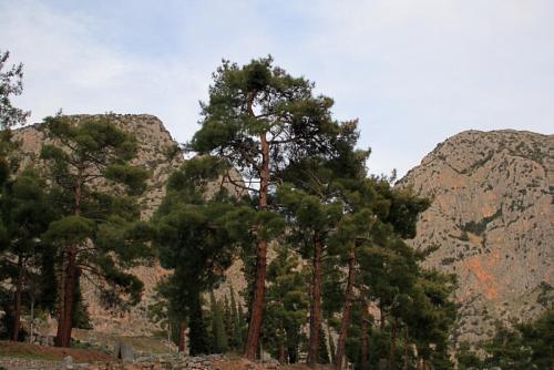 IMG 1235 6 7 1 resize