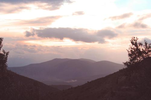 IMG 1304 1 resize