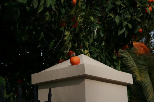 IMG 0554 resize