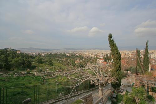 IMG 0557 8 9 resize