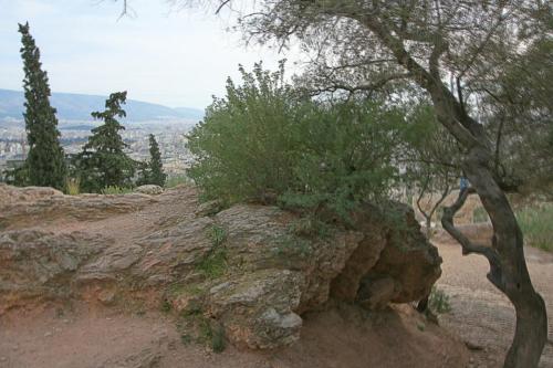 IMG 0667 8 9 resize
