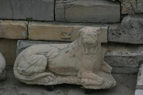 IMG 0976 resize