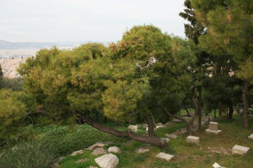 IMG 0984 resize
