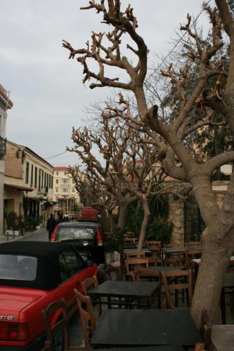 IMG 1000 resize