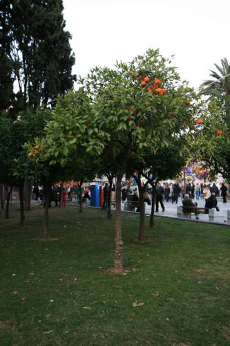 IMG 0438 resize