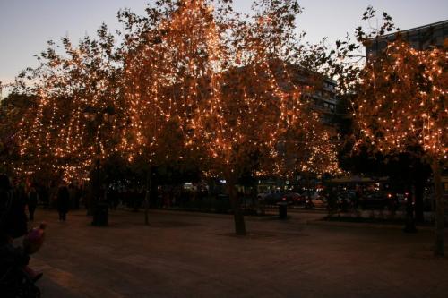 IMG 0479 resize