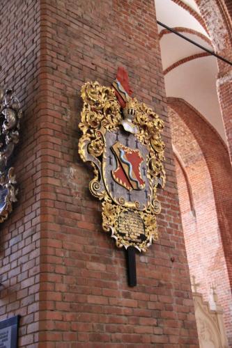 IMG 3518 resize