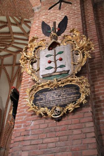 IMG 3519 resize