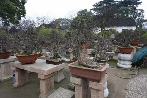 IMG 1915 resize