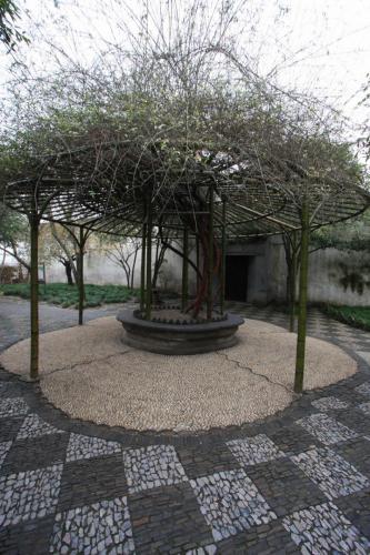 IMG 1932 resize