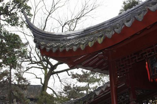 IMG 1951 resize