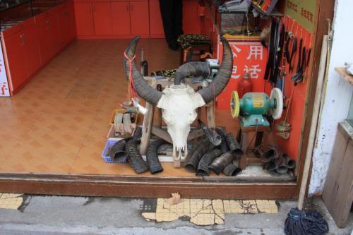 IMG 1958 resize