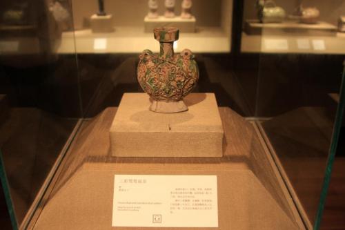 IMG 1979 resize